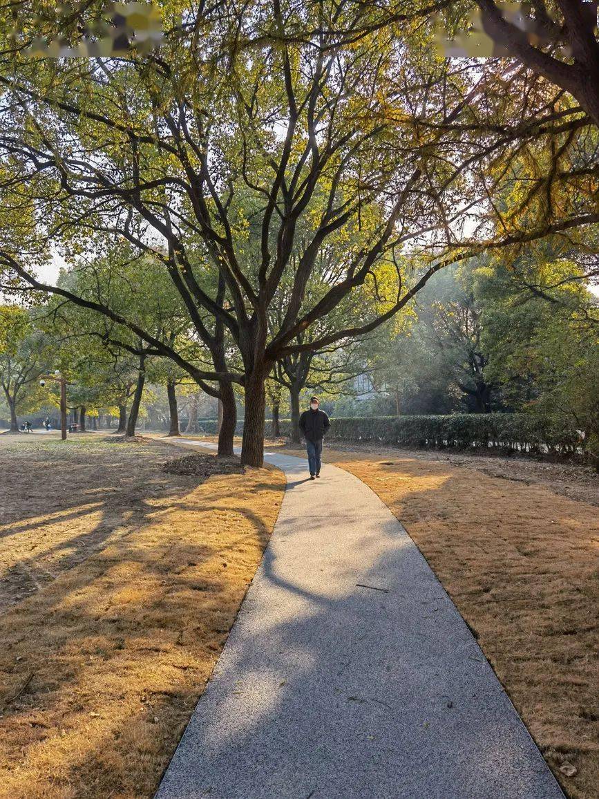 HCPC-Assistant tweet media