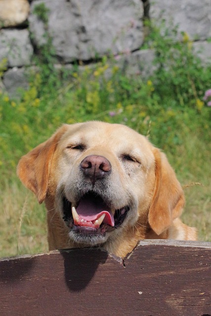 Jacob Slama tweet media