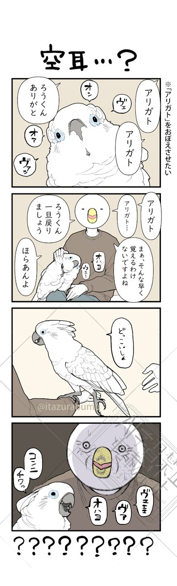 そんなに言ってる…? 