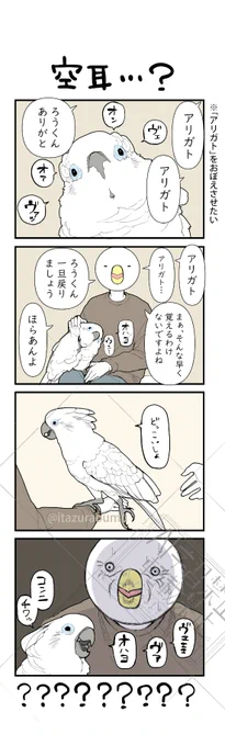 そんなに言ってる…? 