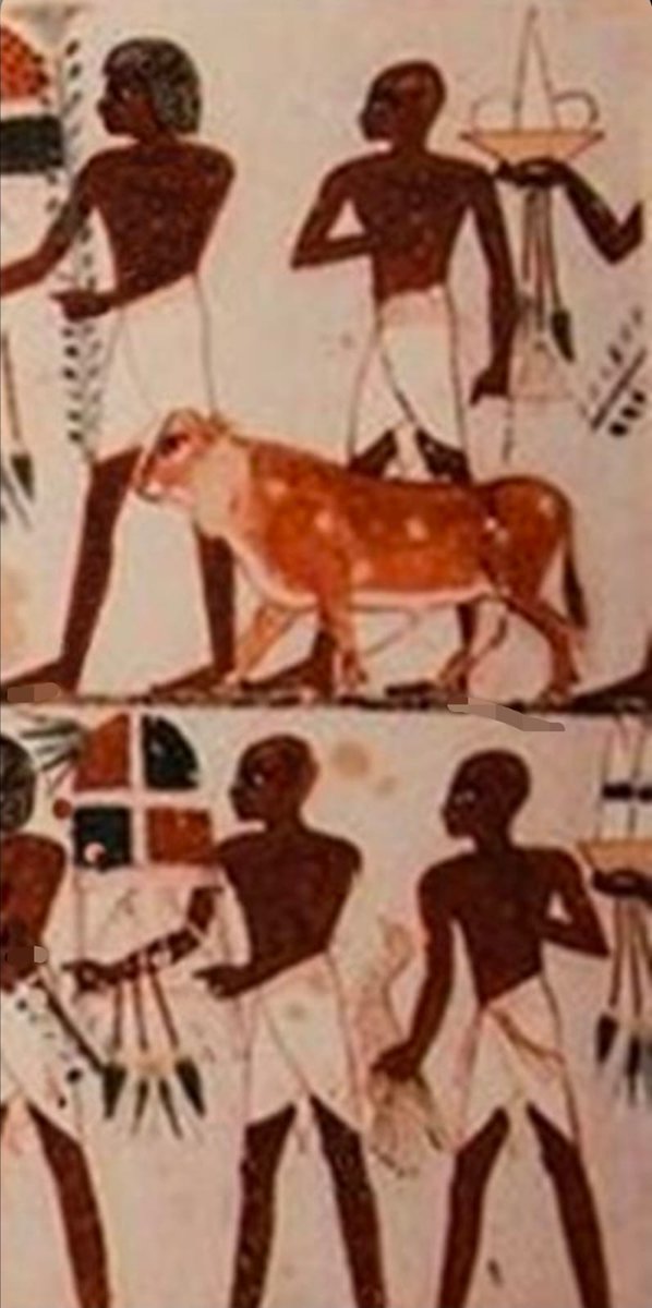 Bronze Giant tweet media