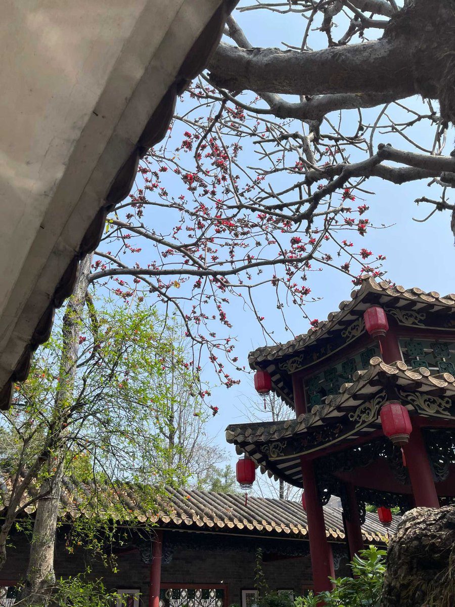 See.U喜柚 tweet media