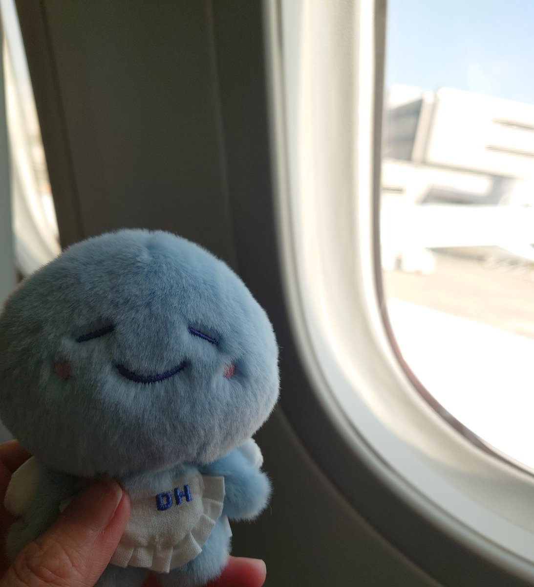peach_ta9's tweet photo. 東京あんにょーん✈️ https://t.co/dlCGDSFVEs