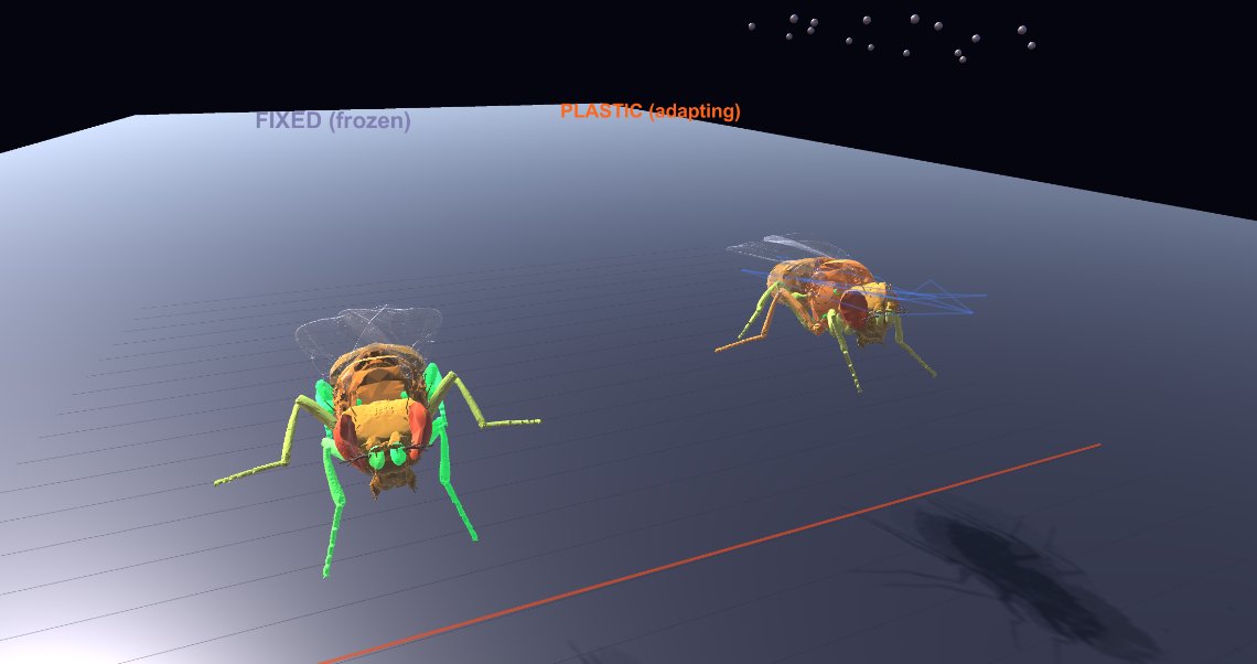 Neil Tripathi tweet media