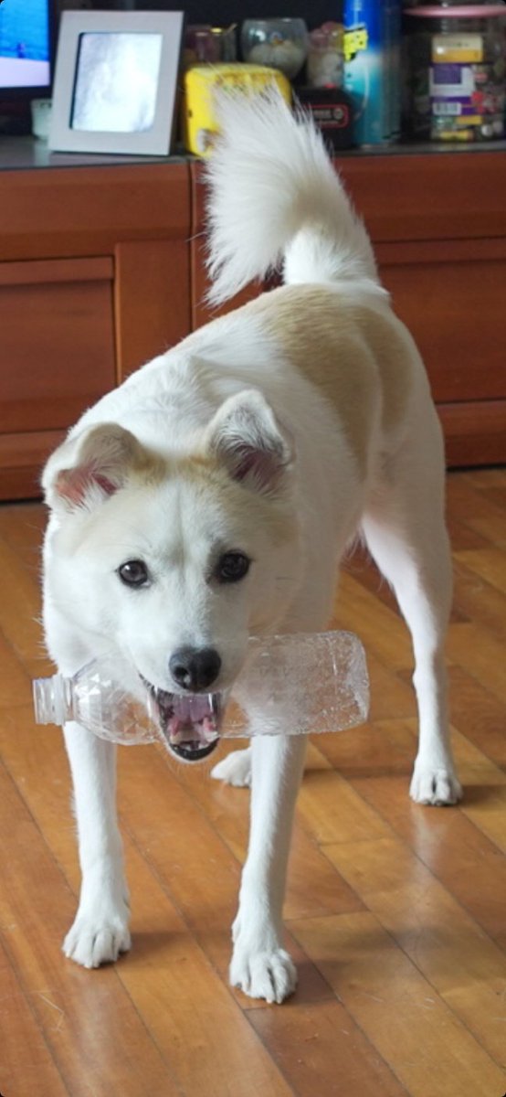 집에서 놀고 먹는 아이 그 이름 백수
^^