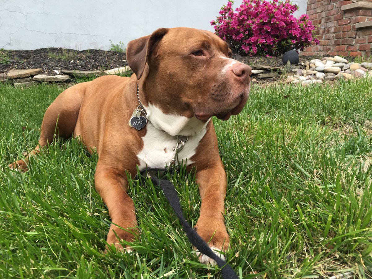 Gray ✨ PirateGray tweet media