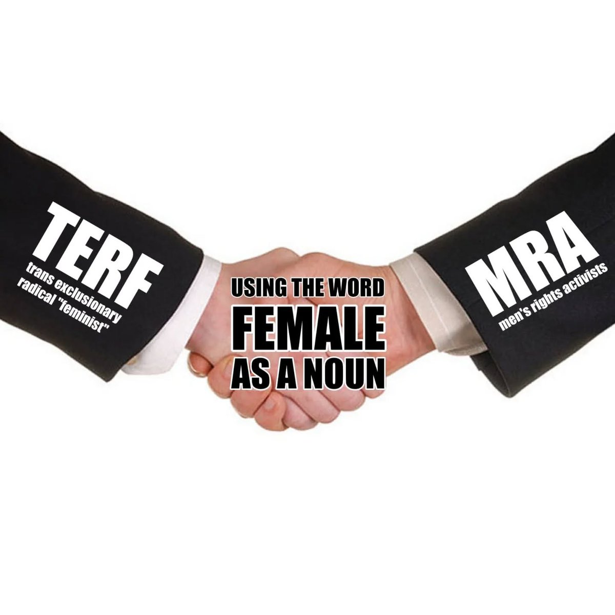 🌻National Lavender Green Caucus (@lavendergreens) on Twitter photo 