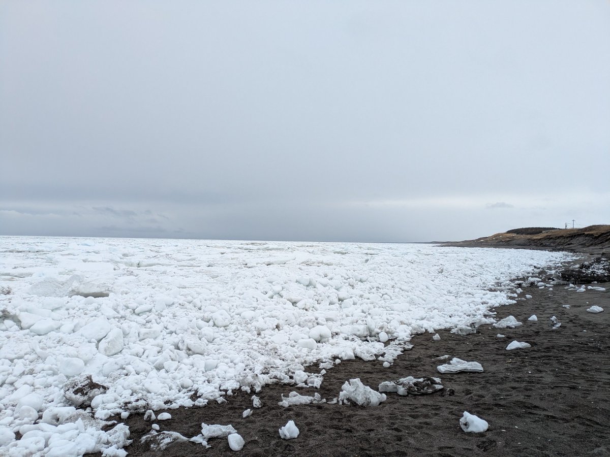 321west2's tweet photo. 北海道・網走で流氷を見てきました！！
地平線まで真っ白になった海、年々見られる期間が減っているようですが「今期最高」の流氷を見ることができ感動です！！ https://t.co/gRJK7myLnN