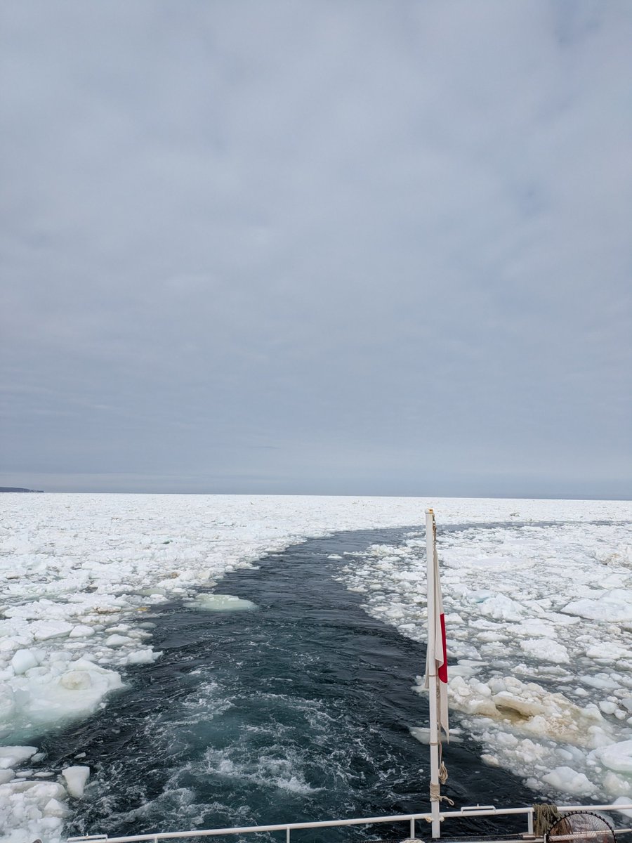 321west2's tweet photo. 北海道・網走で流氷を見てきました！！
地平線まで真っ白になった海、年々見られる期間が減っているようですが「今期最高」の流氷を見ることができ感動です！！ https://t.co/gRJK7myLnN