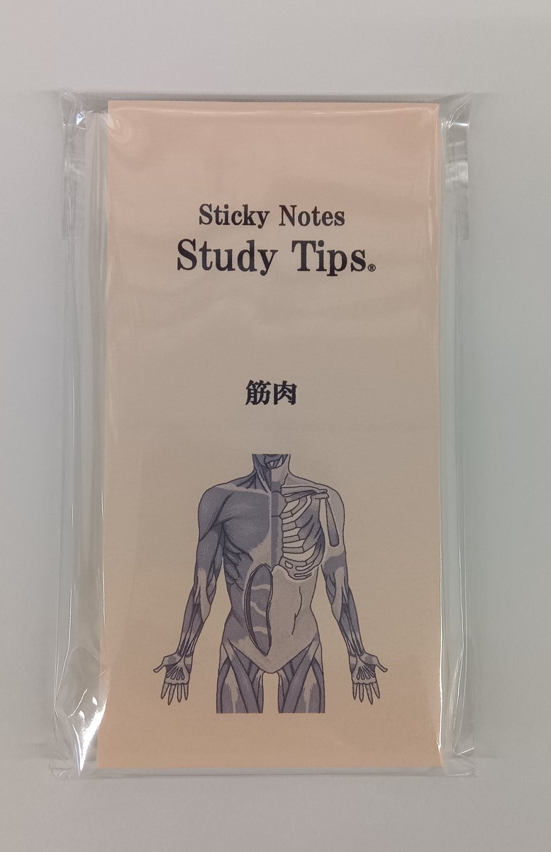 今日は、松浦紙器製作所のスタディチップス人体ふせん　筋肉を紹介します。医師監修の学習に便利な筋肉付箋です。全身から各部位の筋肉の全8種のふせんです。勉強に、筋トレに、筋肉の仕組みを学んでみませんか？#天真堂書店　#松浦紙器　#ふせん