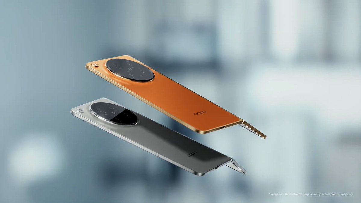 Noah Cat tweet media