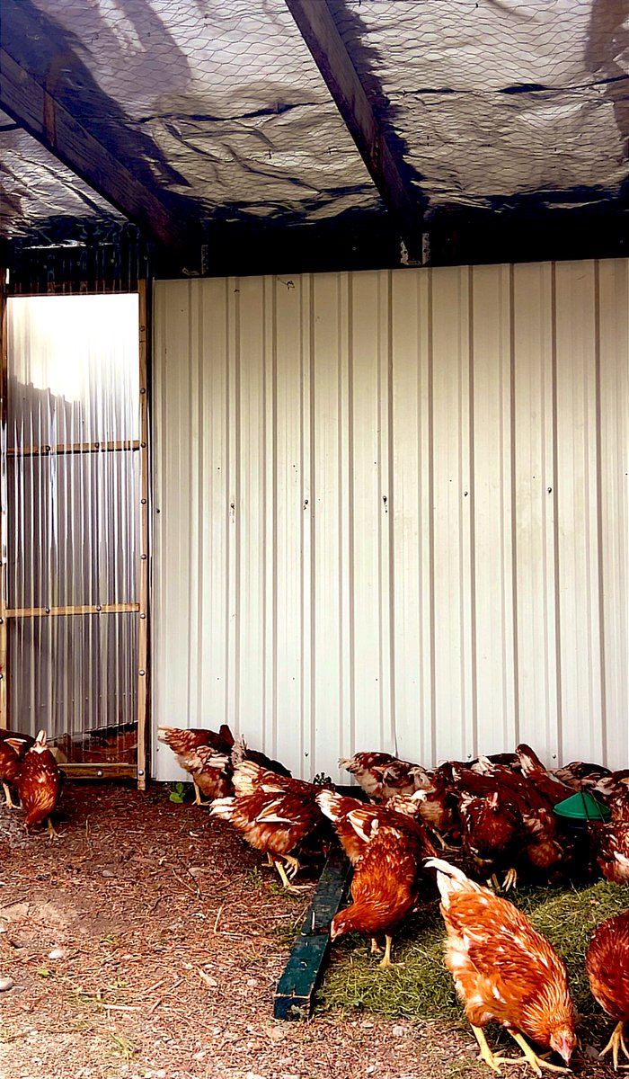 Dame Jane tweet media