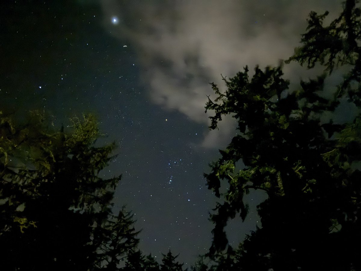 blot (@larryblotter) on Twitter photo 