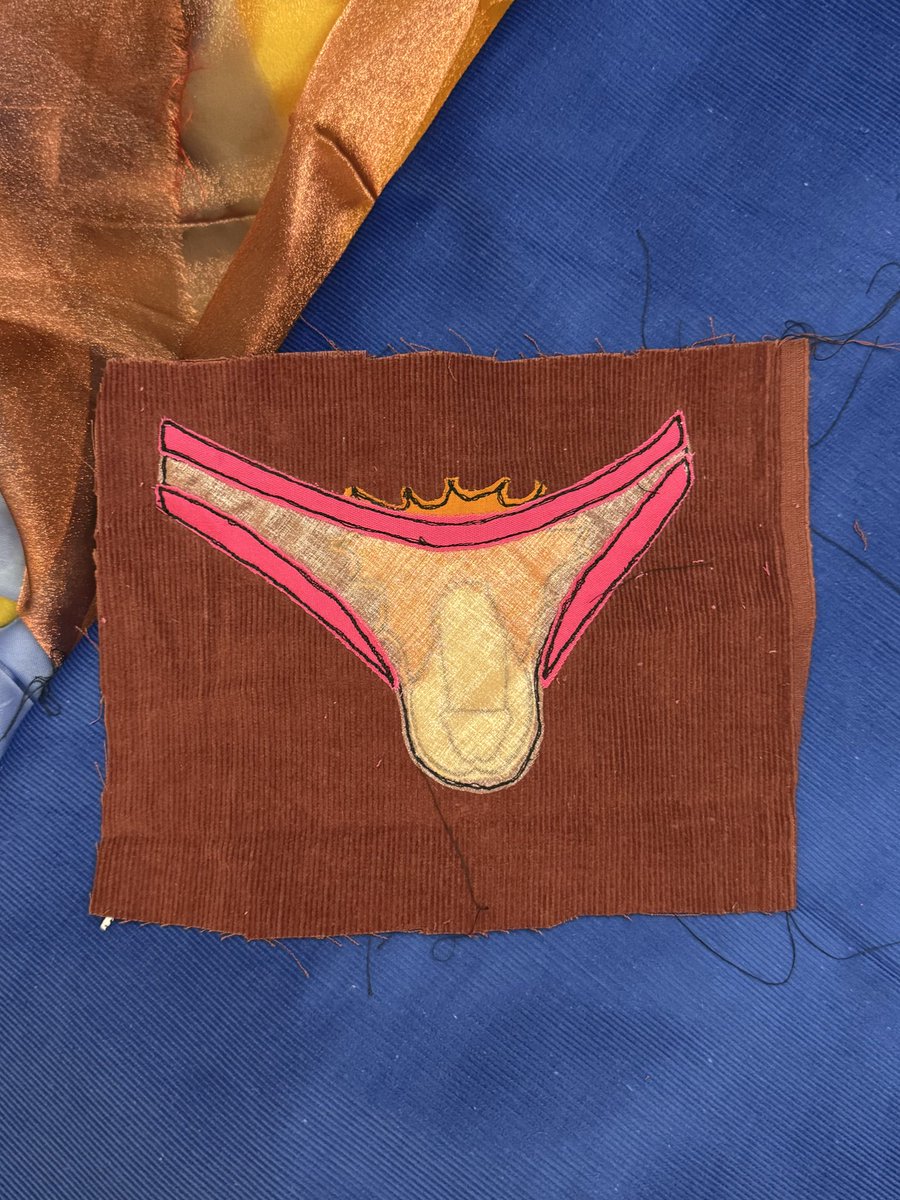 adiaphora87's tweet photo. my suPURRvisor wants you to look at the underwear patch i made. 🩲🪡 https://t.co/FgFvS37V7o