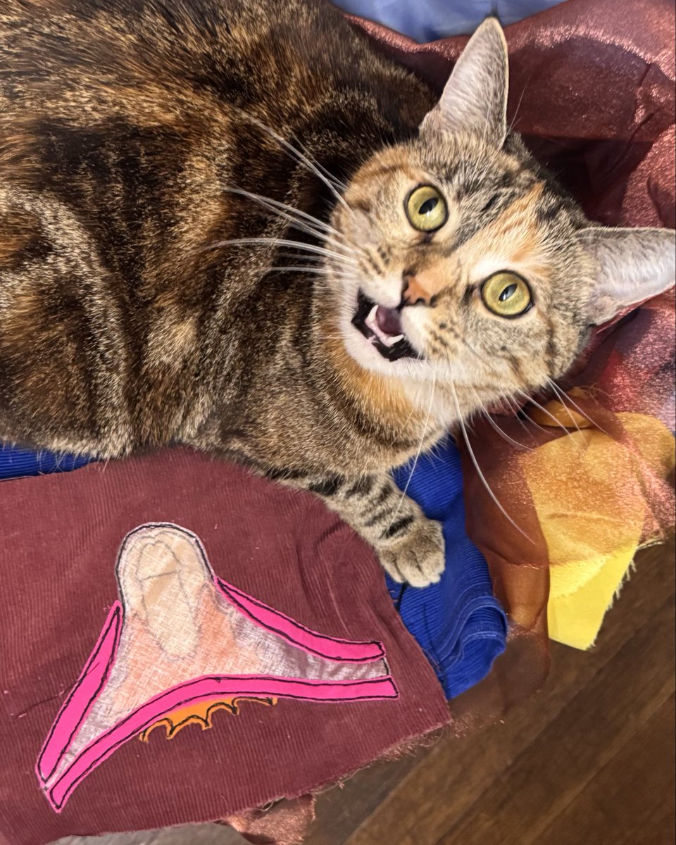 adiaphora87's tweet photo. my suPURRvisor wants you to look at the underwear patch i made. 🩲🪡 https://t.co/FgFvS37V7o