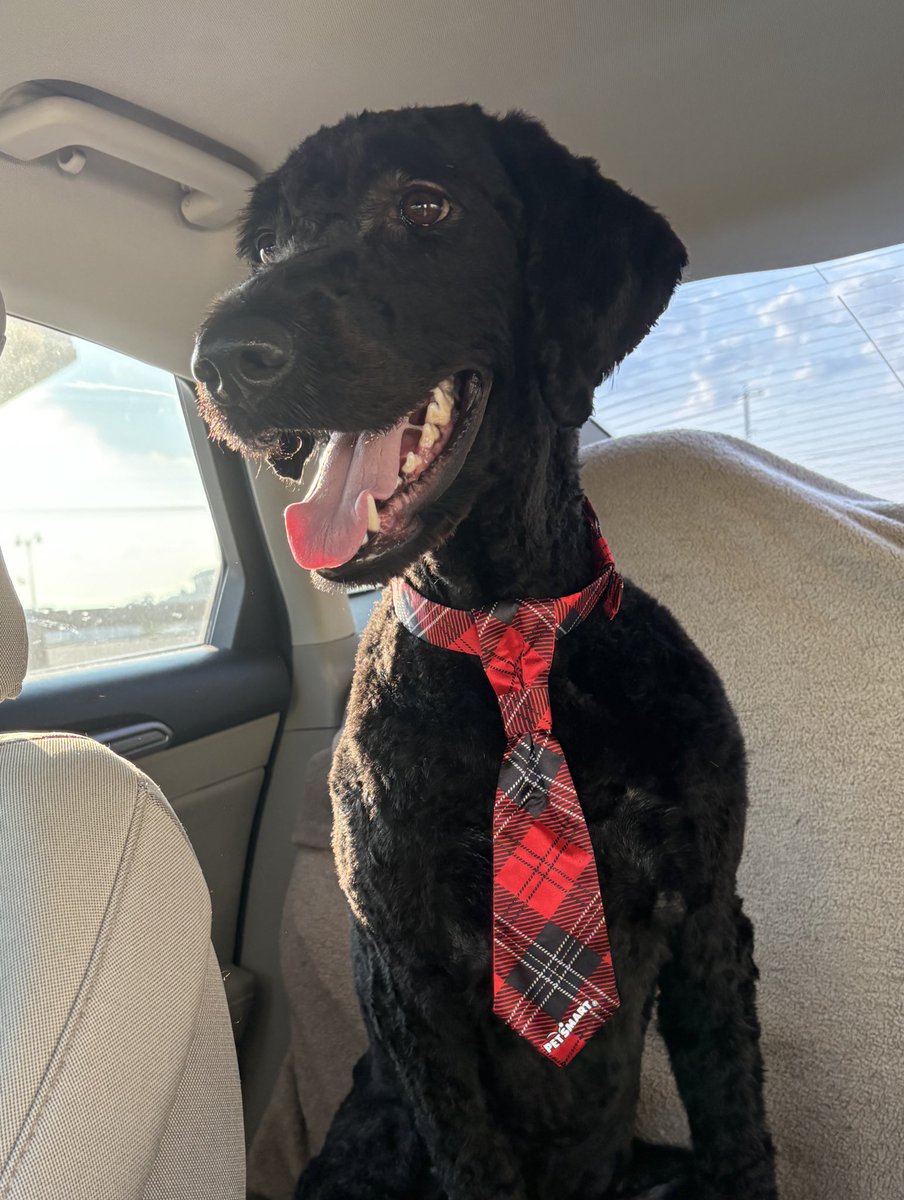 GRayMCards tweet media