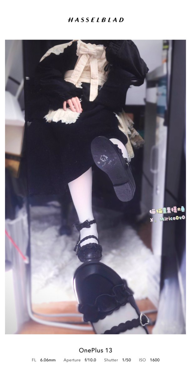 猫猫祟祟摸大鱼 tweet media