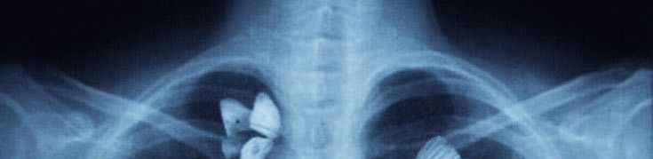 Austin X (Ø,G) ⌘ 🛠️ tweet media