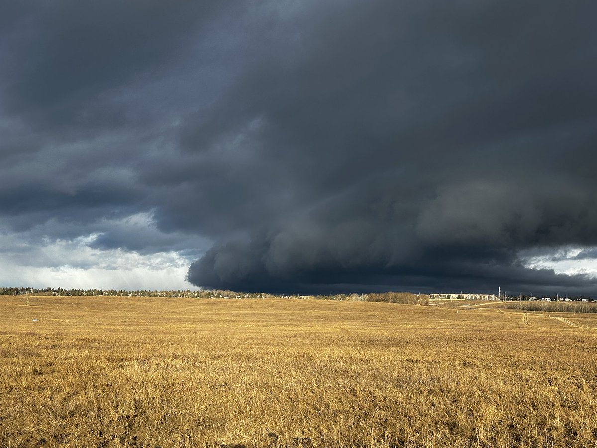 Jeff Slen tweet media