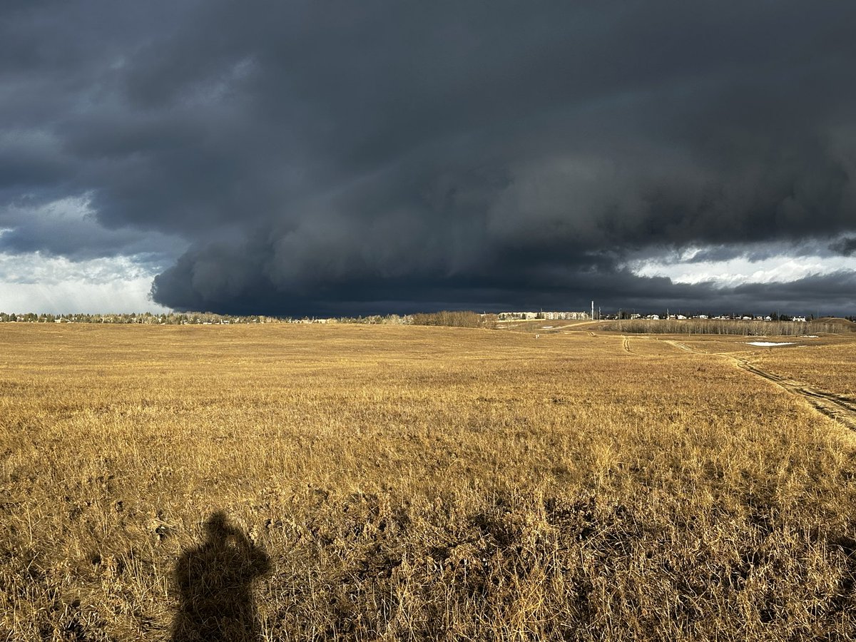 Jeff Slen tweet media