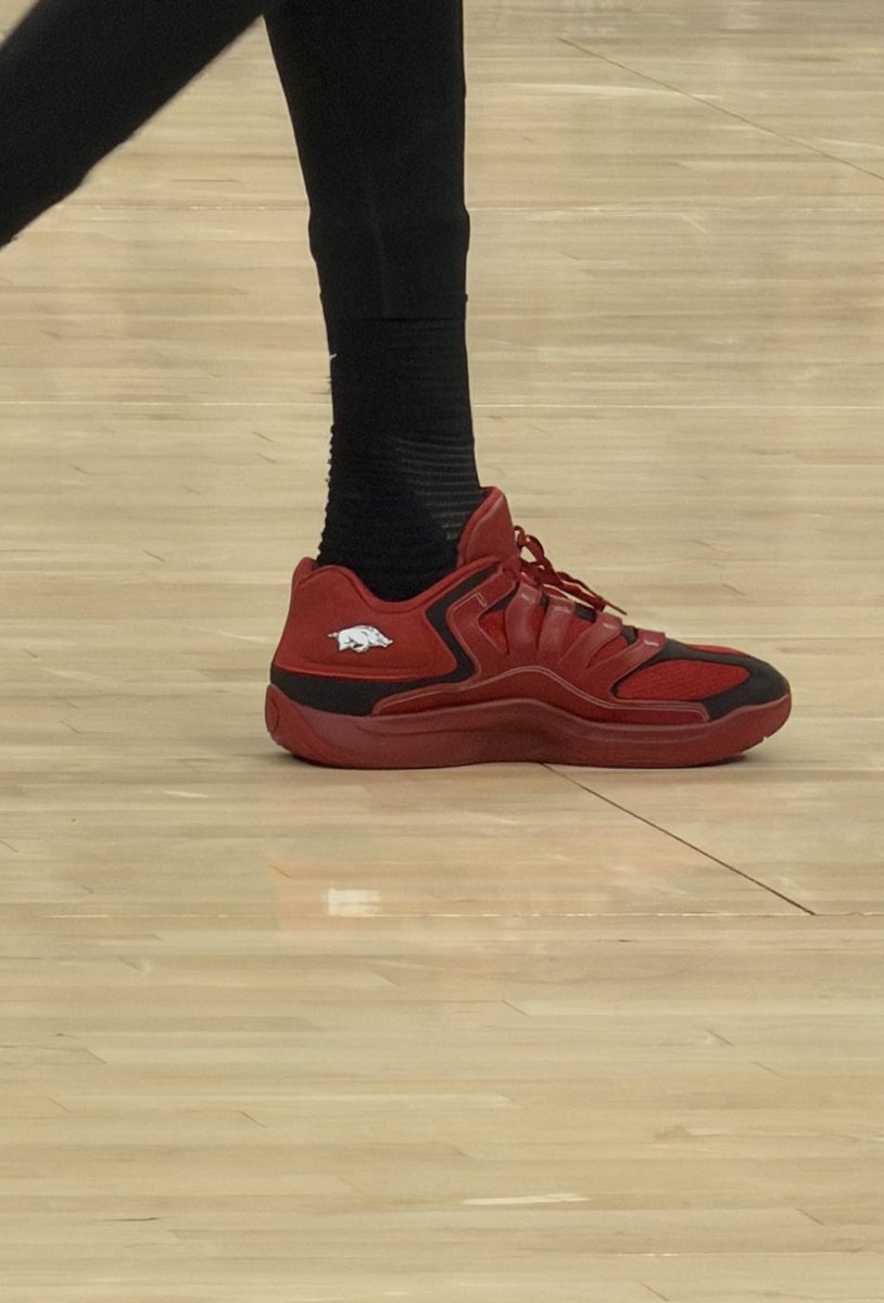 Hog Pics That Go Hard tweet media