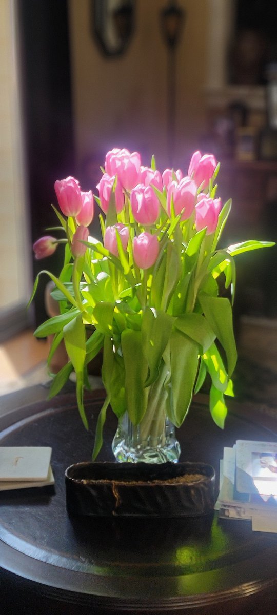 NC Education Leaders tweet media