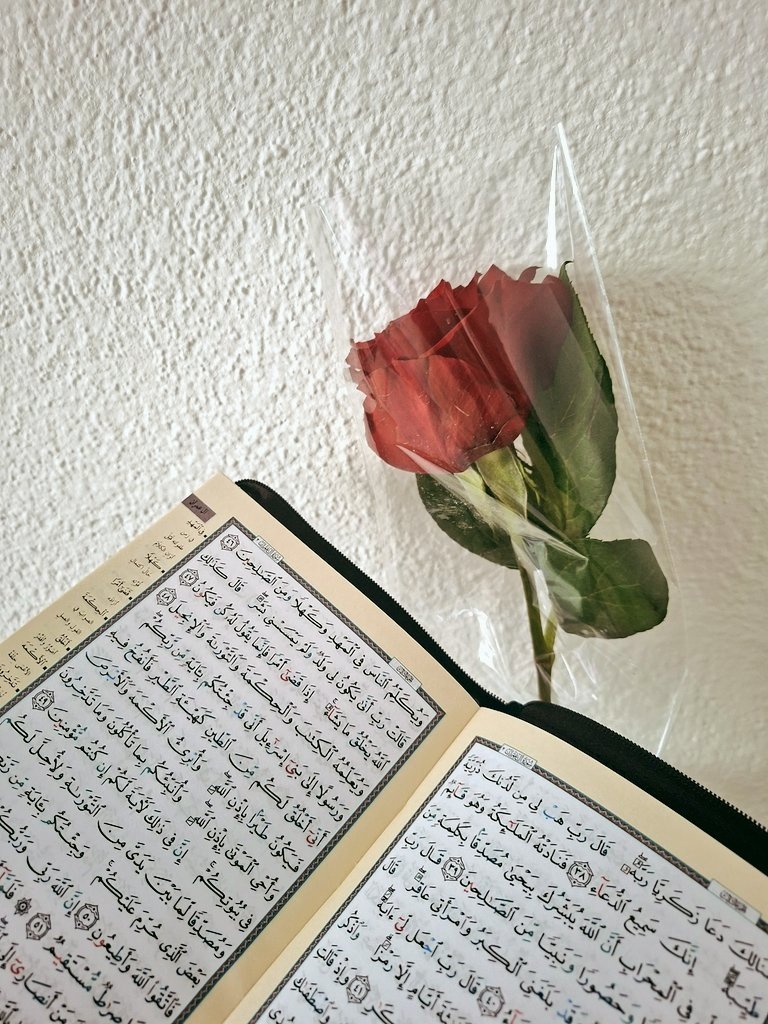 fatimabakovic's tweet image. #tezza #Ramadan2026 #elhamdulillah 🌹