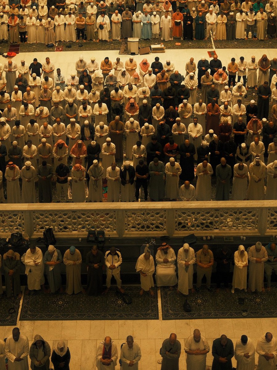 julaibib tweet media