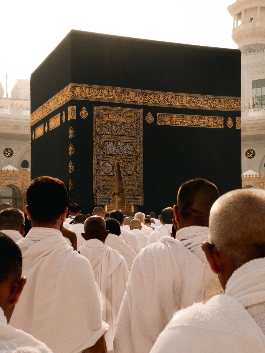 julaibib tweet media