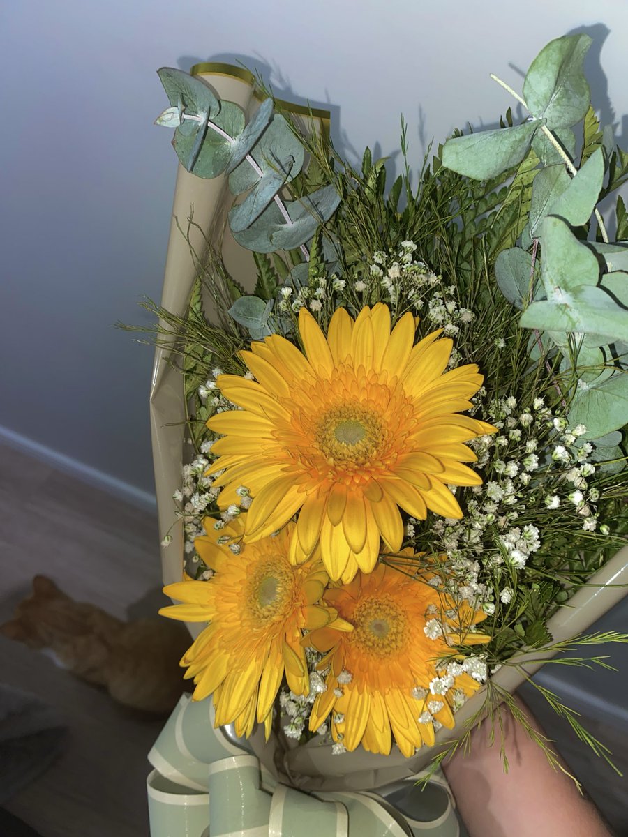 eu amo minha namorada e hoje ganhei mais um buque dela amo ela amo muito