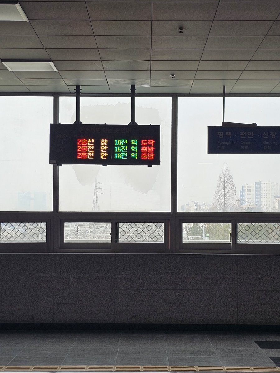 티팝 ティパプ tweet media