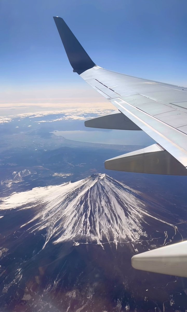 Mami Sue マミ スー tweet media