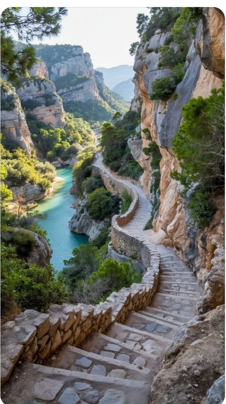 Günaydın sevgili ülkemin sevgili yurttaşları gününüz güzel geçsin iyilik iyidir 🌞🌿🌻🌴☕.