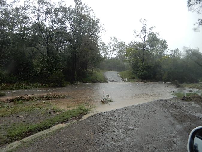 Manami.N tweet media