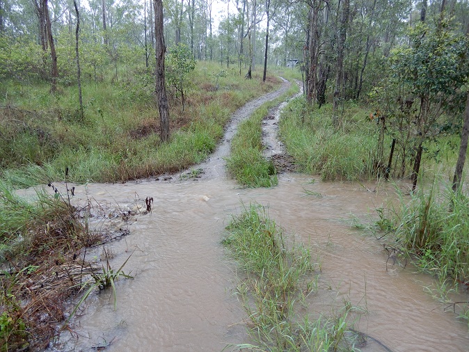 Manami.N tweet media