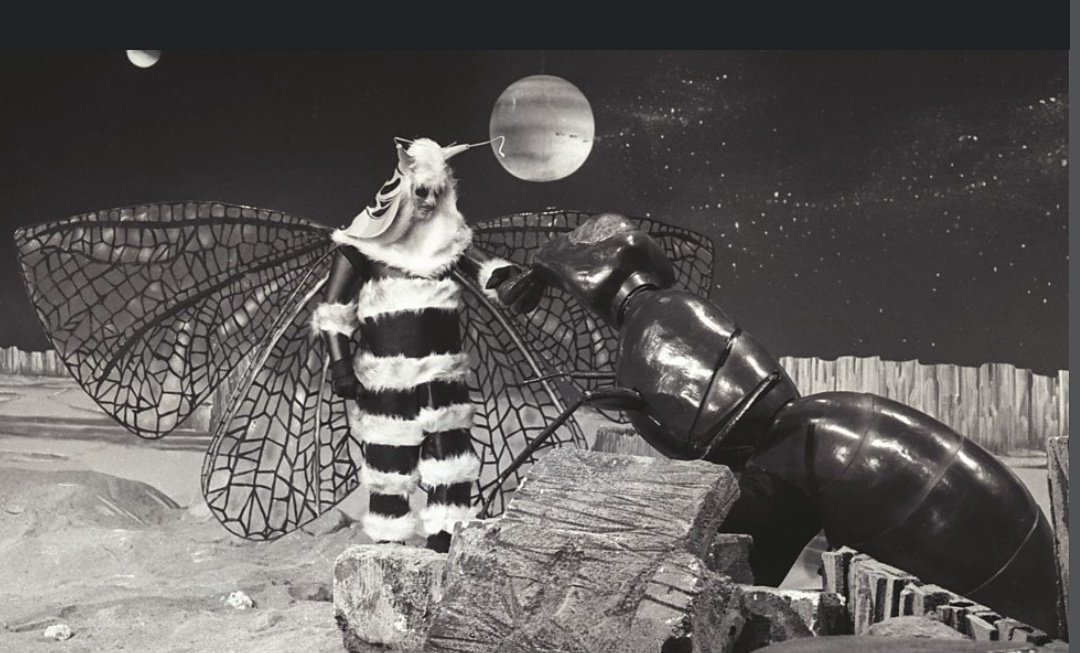 María Conchita tweet media