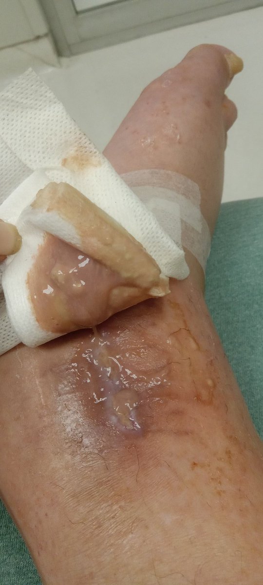 Shayla The Mouse tweet media