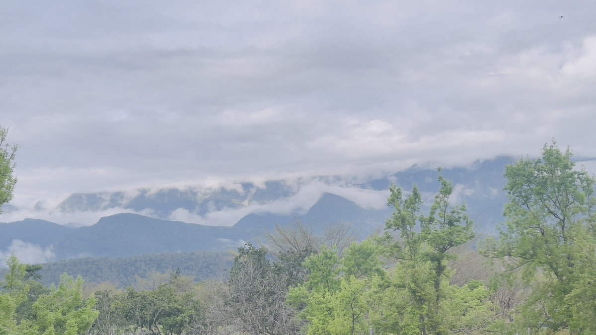 👺禽獸哥 tweet media