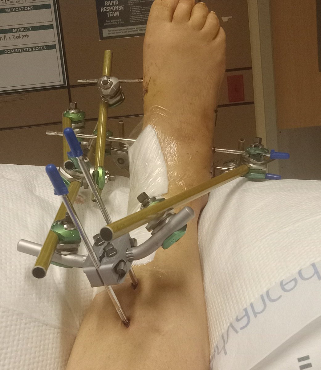 Shayla The Mouse tweet media