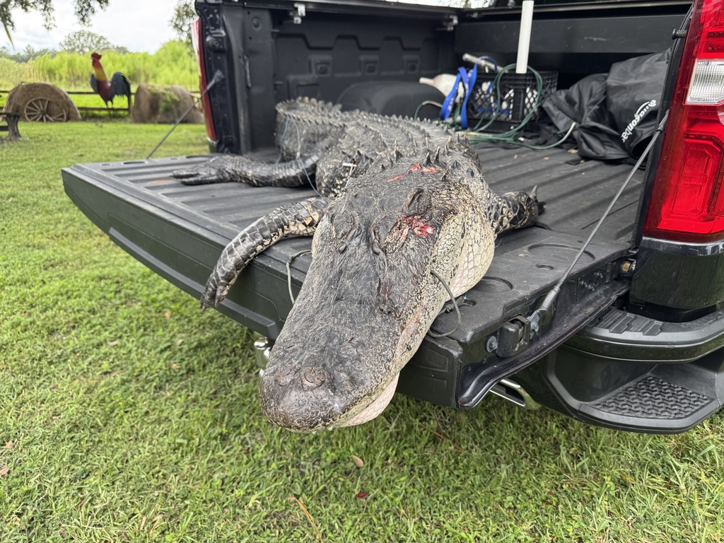 Gilbert | gilper.eth tweet media