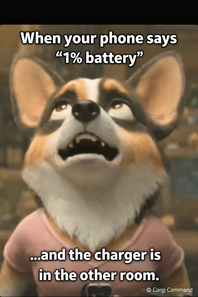 Corgi Command: Galactic Gamers tweet media