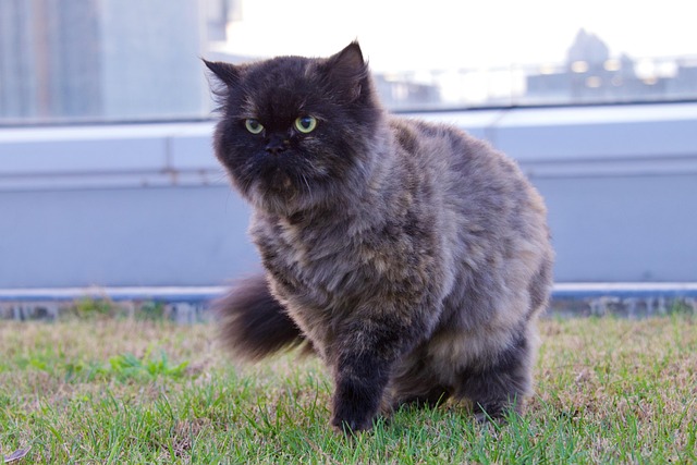 Philip Hensley tweet media