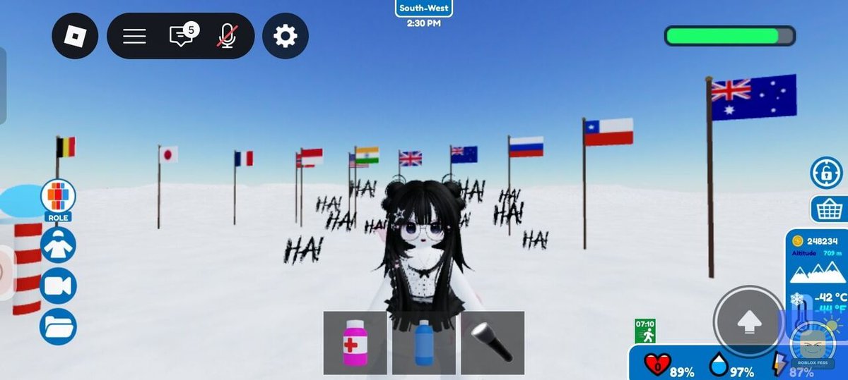 Roblox Fess tweet media