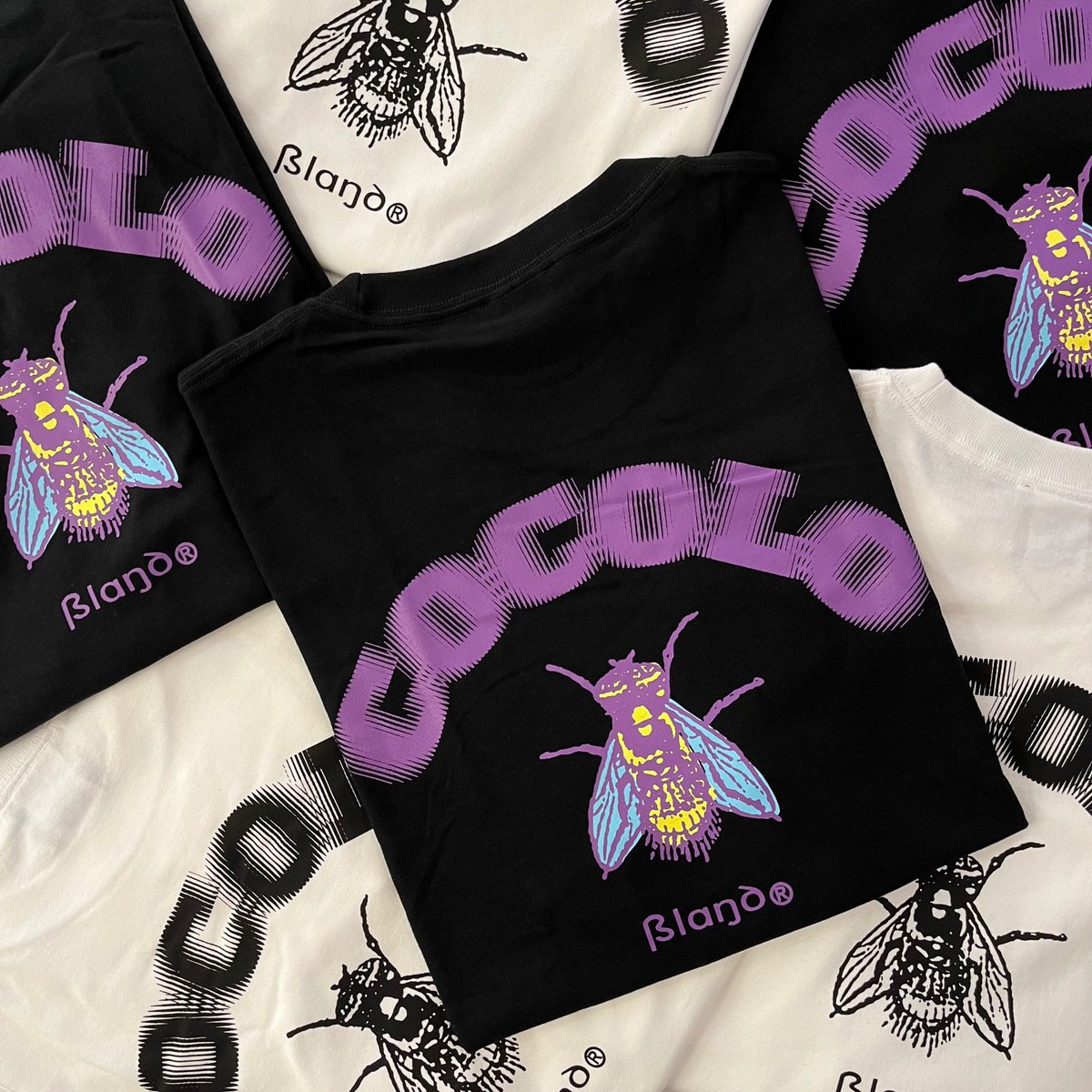 COCOLO BLAND tweet media