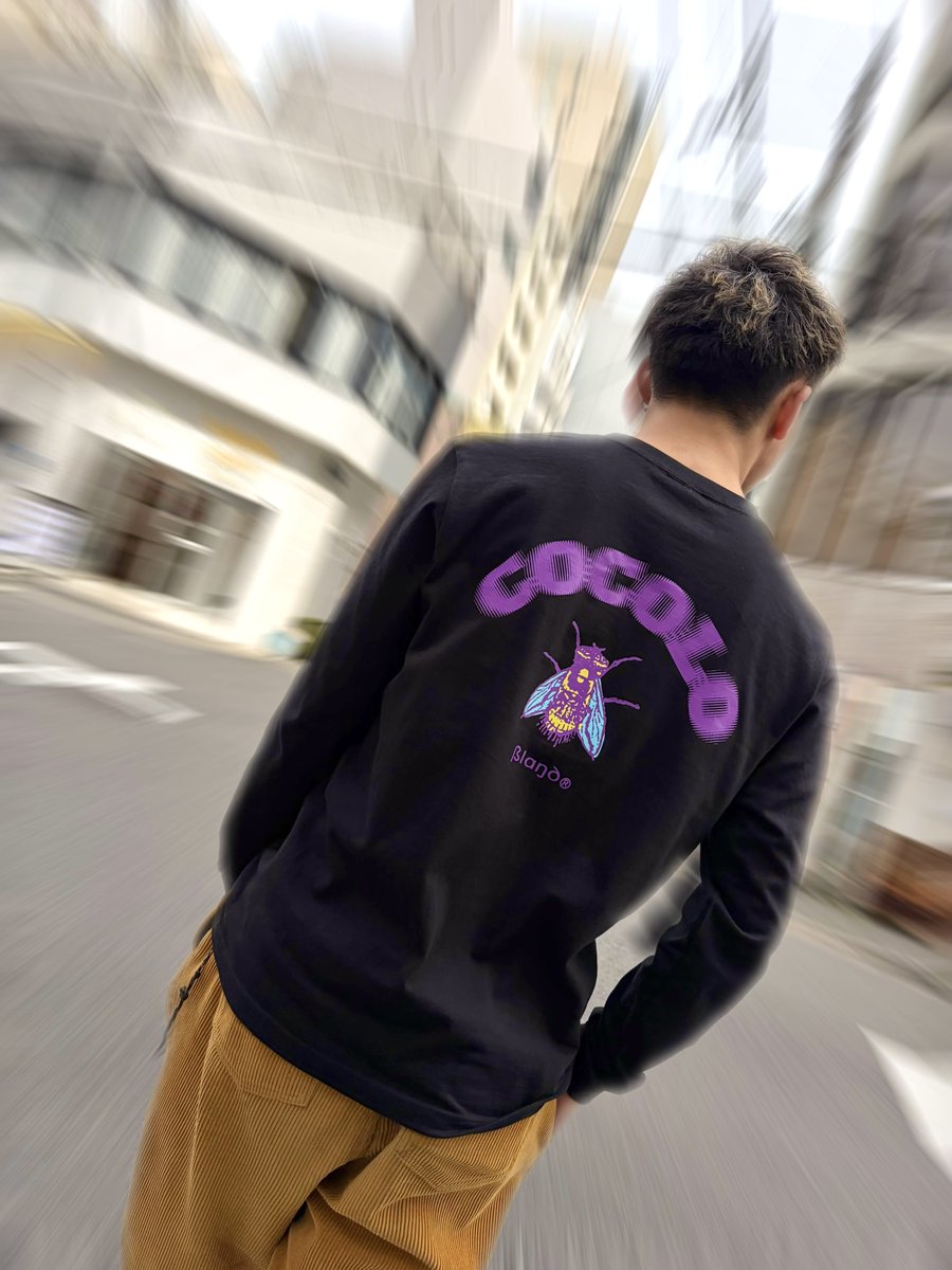 COCOLO BLAND tweet media