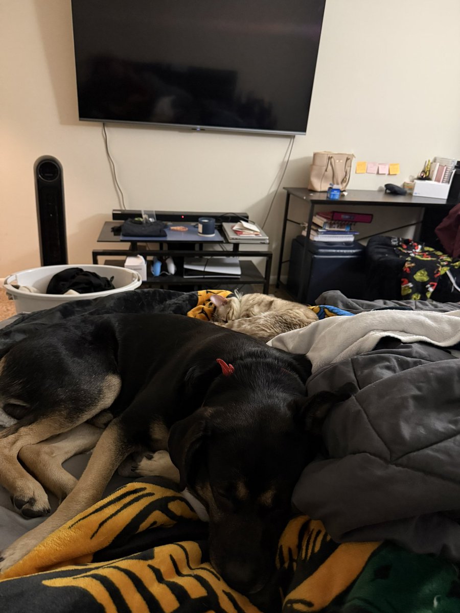 Giovanni tweet media