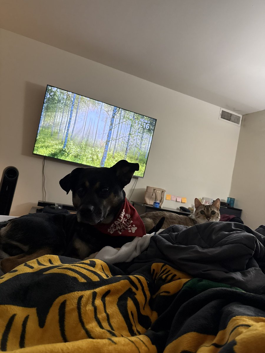 Giovanni tweet media