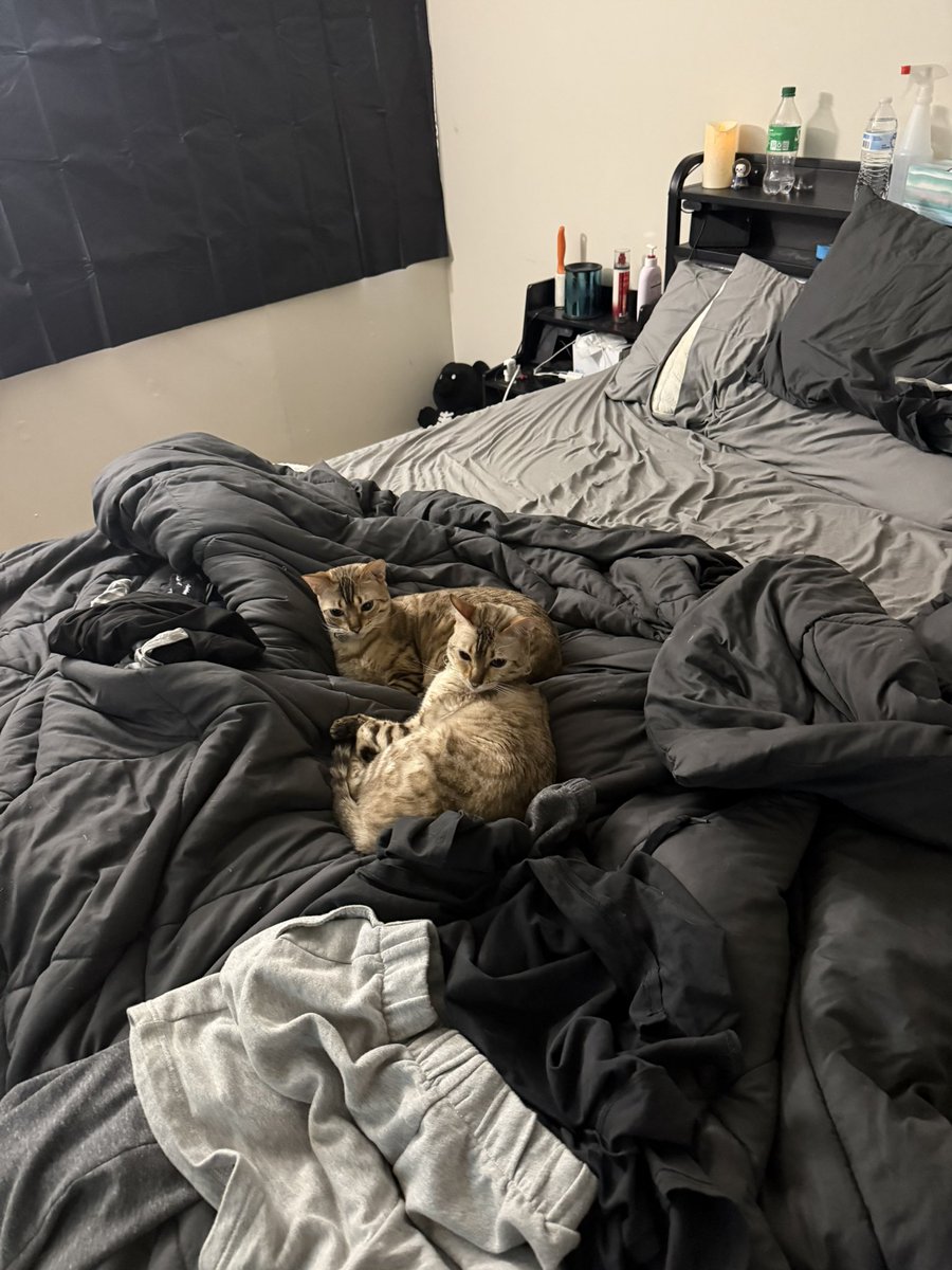 Giovanni tweet media