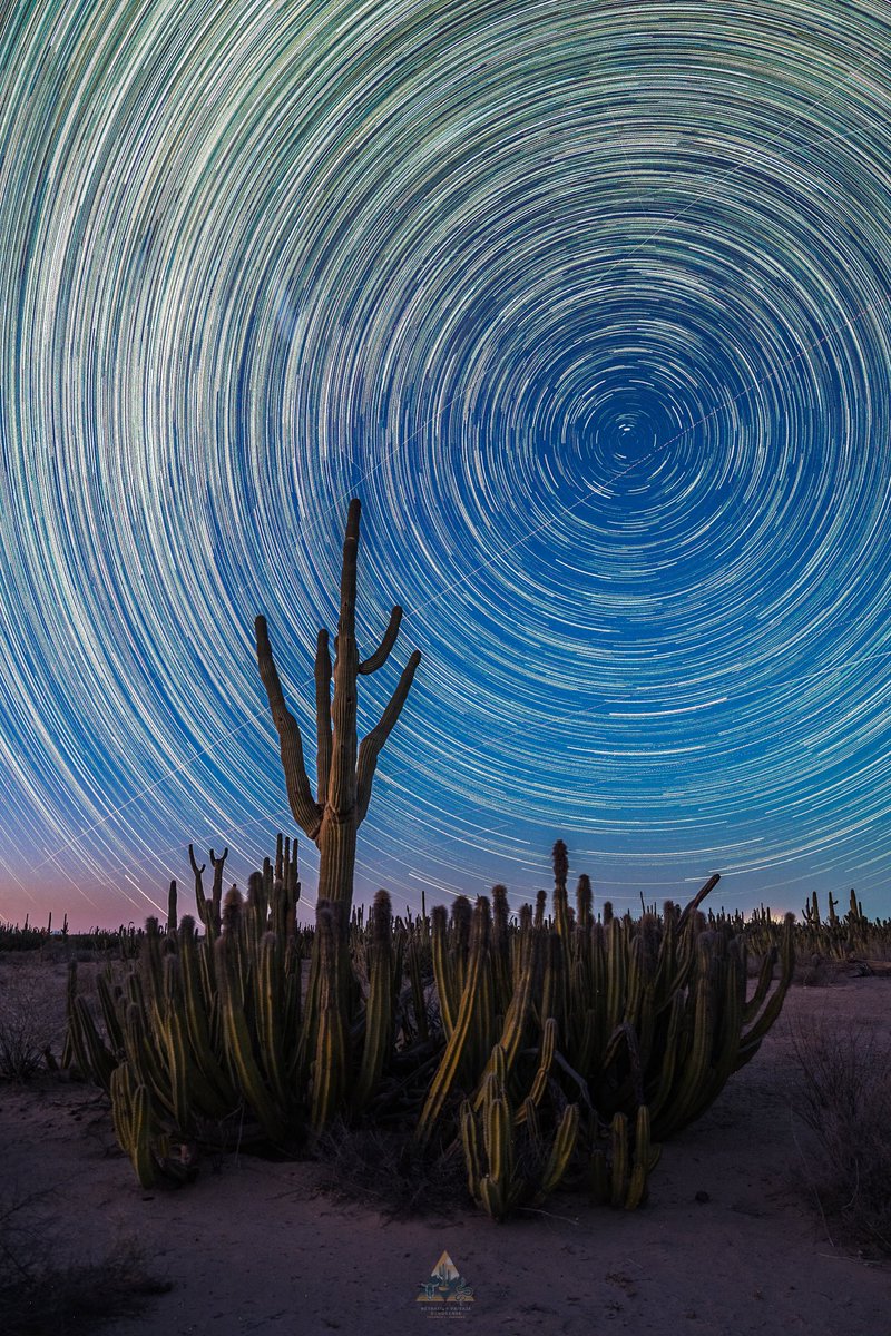 GGerardox2's tweet photo. 4 horas en 8 segundos en el hermoso desierto de Sonora. 🌟 🌵 ⏱️ https://t.co/GwfDAX3rZb