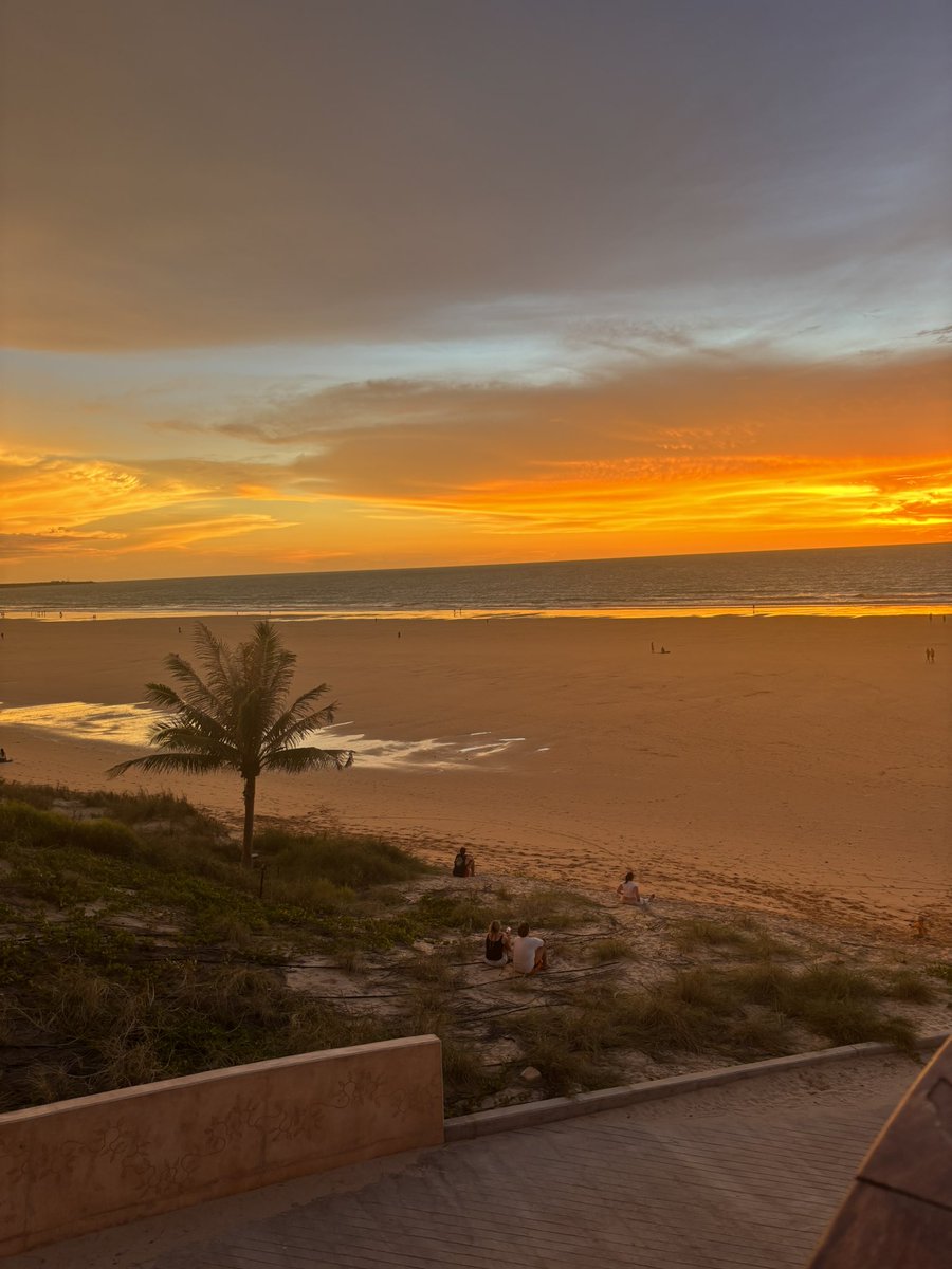 ここあ😈😈 tweet media